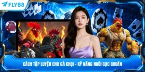 Cách Tập Luyện Cho Gà Chọi - Kỹ Năng Nuôi Cực Chuẩn