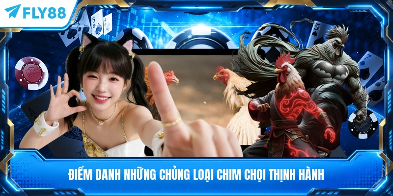 Điểm danh những chủng loại chim chọi thịnh hành