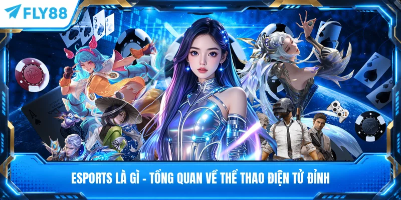 Esports Là Gì - Tổng Quan Về Thể Thao Điện Tử Đỉnh