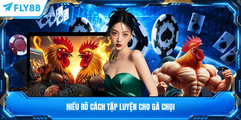 Hiểu rõ cách tập luyện cho gà chọi