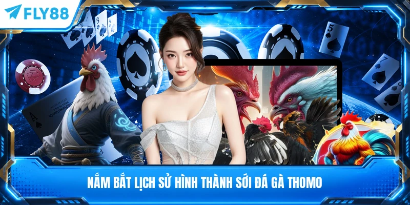 Nắm bắt lịch sử hình thành sới đá gà Thomo
