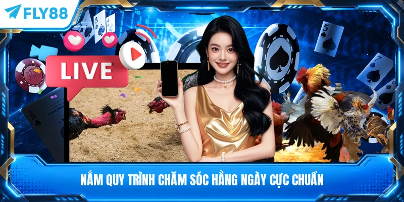 Nắm quy trình chăm sóc hằng ngày cực chuẩn