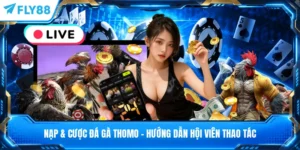 Nạp & Cược Đá Gà Thomo - Hướng Dẫn Hội Viên Thao Tác