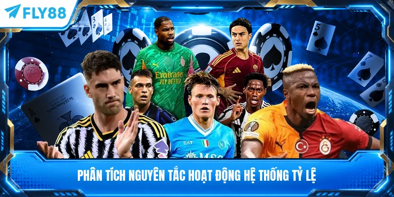 Phân tích nguyên tắc hoạt động hệ thống tỷ lệ
